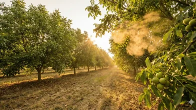 ۵ رقم گرده افشان برتر (مانند فرنت)؛ راز باغ‌های پربار