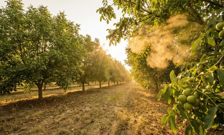 ۵ رقم گرده افشان برتر (مانند فرنت)؛ راز باغهای پربار